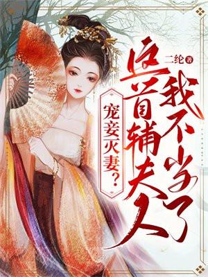 首辅宠夫日常