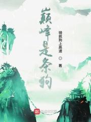 巅峰指的是什么意思