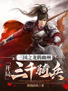 三国之龙图天下顶点