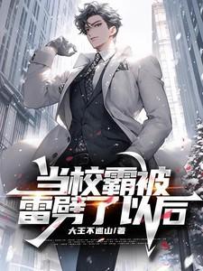 当校霸被学霸掰弯以后简介
