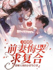 天降惊喜前夫别纠缠免费阅读百度