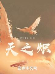 天之炽全集在线阅读