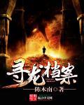 林凡苏月最新章节更新内容介绍