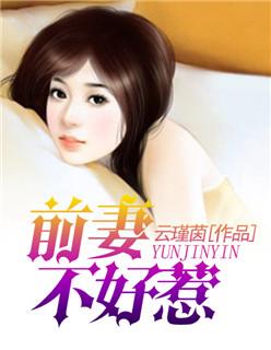 主人公是苏轩