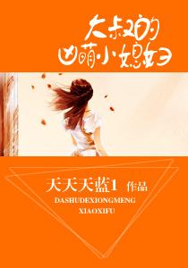 勒斯辰叶初七机长