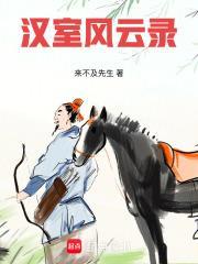 汉室风云录百度百科
