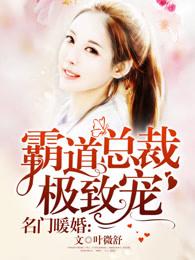 书名叫名门暖婚