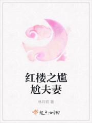 穿越红楼夫妻