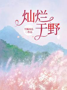 灿烂是什么电视
