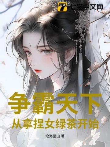 争霸天下全本