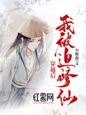 穿书后我被迫修罗场