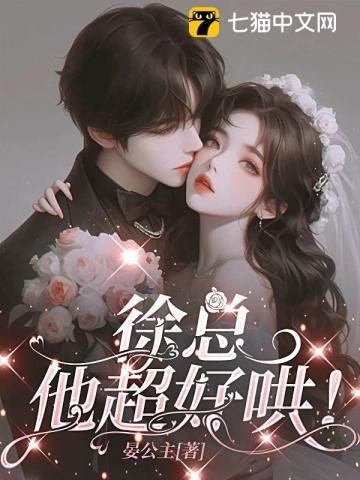 徐总是什么电视剧