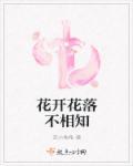 男主叫宗景灏女主叫林辛言是什么观看