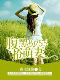 腹黑boss宠妻无度免费阅读