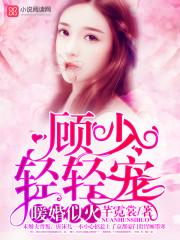 暖婚似火顾少轻轻宠免费全文阅读