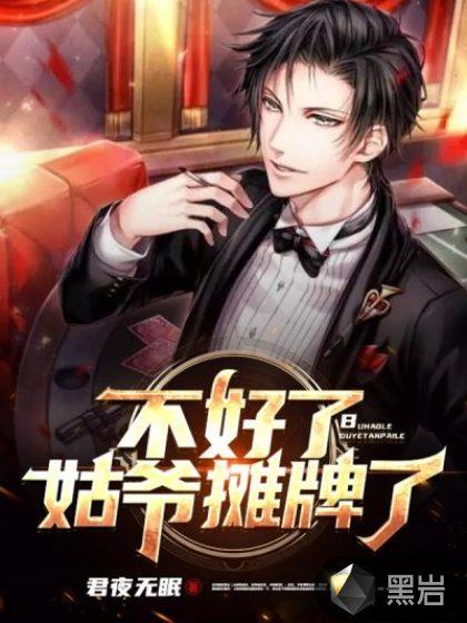 姑爷摊牌了 君夜无眠