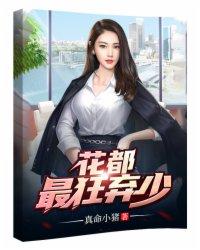我的极品娇妻烟火