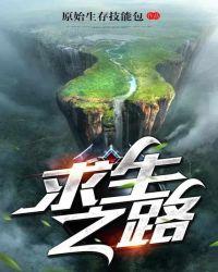 求生之路2控制台