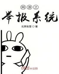 网游之举报系统txt