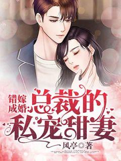 总裁的私宠甜妻免费TXT全文