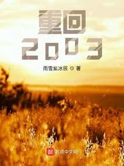 重回2003西工大造战机