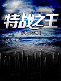 特战之王免费阅读