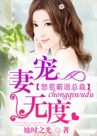 宠妻无度总裁老公免费阅读