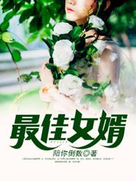 最佳赘婿电视剧免费观看
