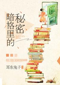 暗格里的秘密男主角叫什么名字