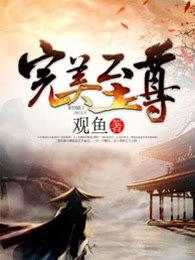 完美至尊全本txt