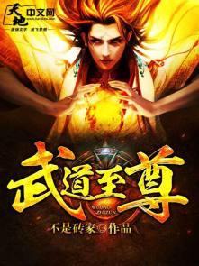 武道至尊免费观看完整版动漫