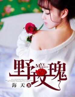 夜玫瑰不姓周的周板娘