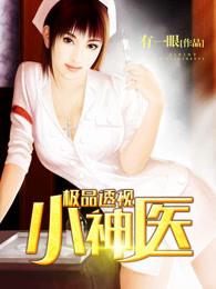 极品透视小神医铁阳