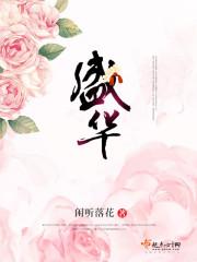 盛华讲的什么