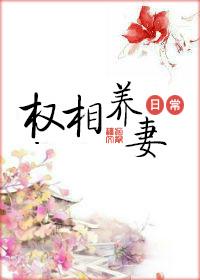 权相养妻日常章节