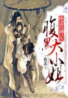 绝世神医腹黑大小姐 君无邪君无药