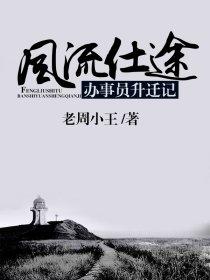 仕途风流无错字