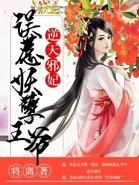 逆天邪妃误惹妖孽王爷楚怀风