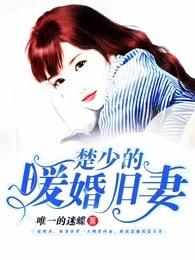 楚少的宠妻指南全集免费
