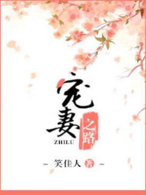 宠妻之路长夜漫漫