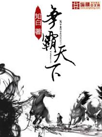 寇仲为什么放弃争霸天下