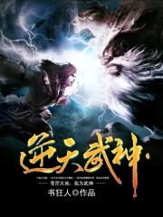 逆天武神楚枫全文阅读