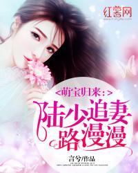 萌宝出击沈少追妻路漫漫