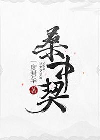 明月落我怀陆准予沈明悦