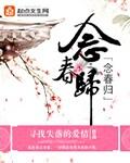 念春归故事概述