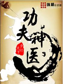 功夫神医杨飞全本免费