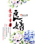 良婿什么意思