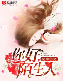 你好陌生人吉他谱