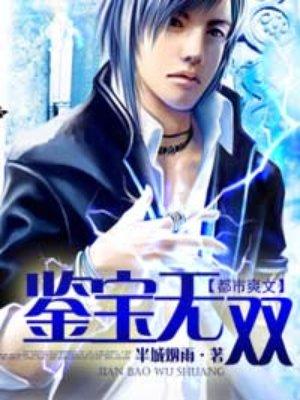 鉴宝无双叶无双全集
