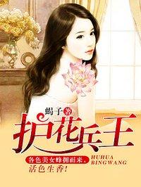 护花兵王全集免费观看